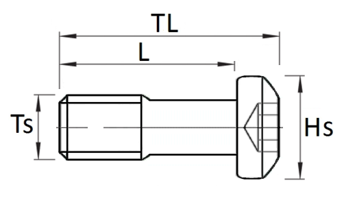 UM Torx screw w/round head